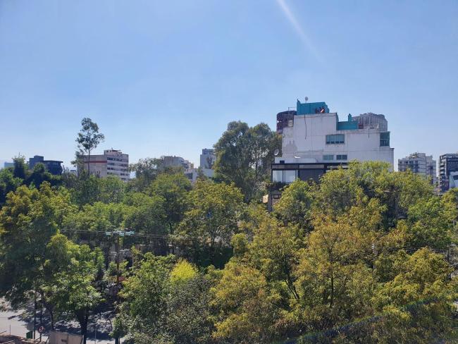 Impresive 1BR with Rooftop in Roma Norte Images_4