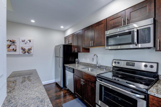 Luxury Designer Theme 1BR Apt near the Inner Harbor Images_2