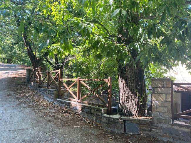 The Forest Sea View House - Xourichti-Tsagkarada Pilio Images_4