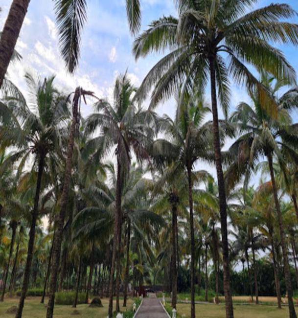 Hotel Visava Riverside Images_4