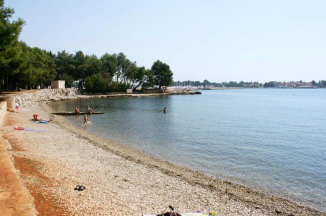 Apartments with a parking space Novigrad - 2536 Images_3