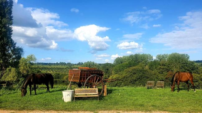 Gite des Trévignes Images_3