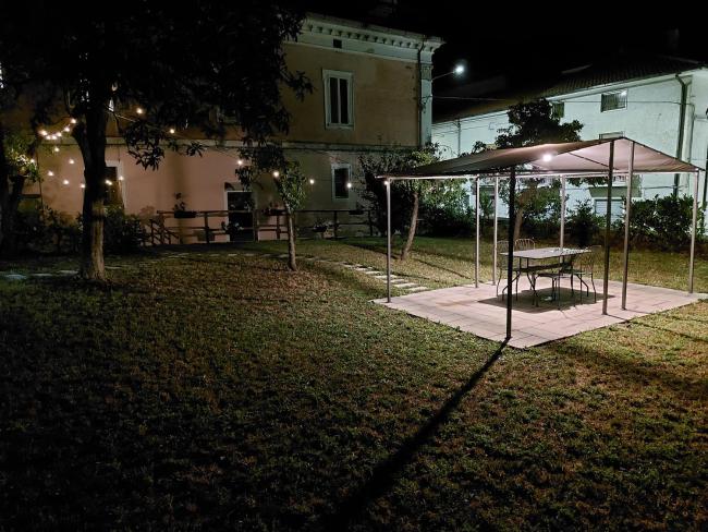 L' antico nespolo Images_3