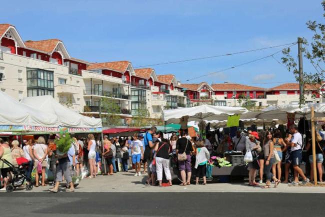 T2/Hyper centre La Teste/5 mins port et marché! Images_4