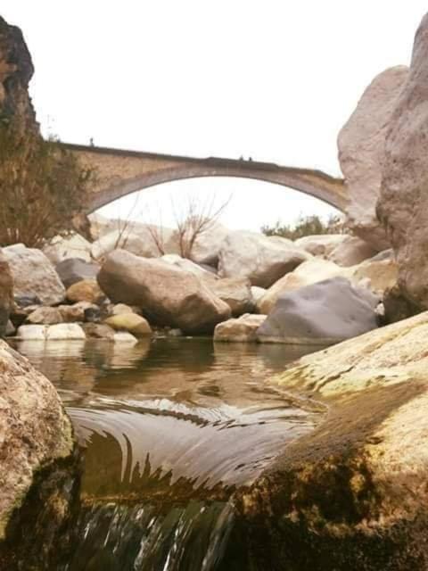 Alhidan Hostel & adventure Images_4