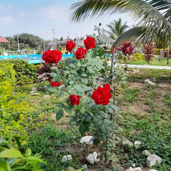 EcoLodge Latino Images_2