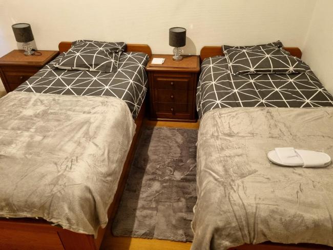 Appartement d'une chambre avec balcon amenage et wifi a Ambilly Images_5