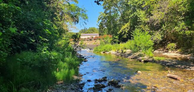 Gite de 420 metres carres dans château l'ange au violon jusqu'à 13 couchages Images_1