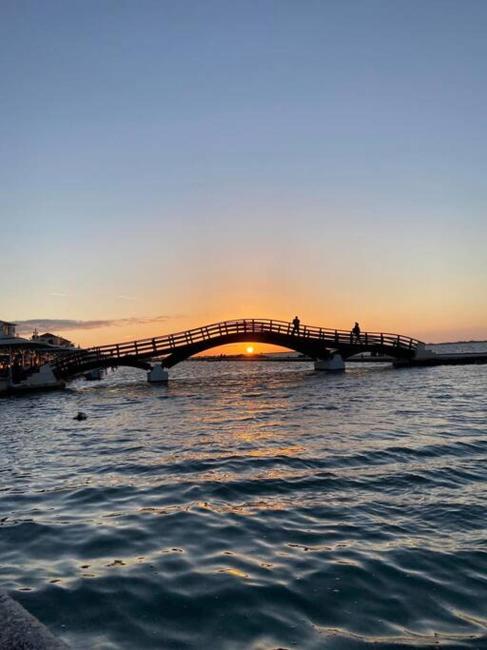 Rhea's studio Images_5