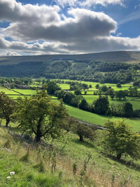 The Dale at Greystones - Luxurious annexe with stunning view Images_5
