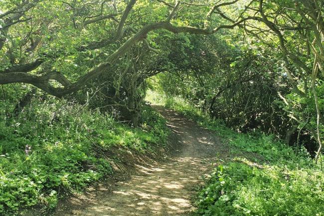 John James at The Bay, Filey Images_1