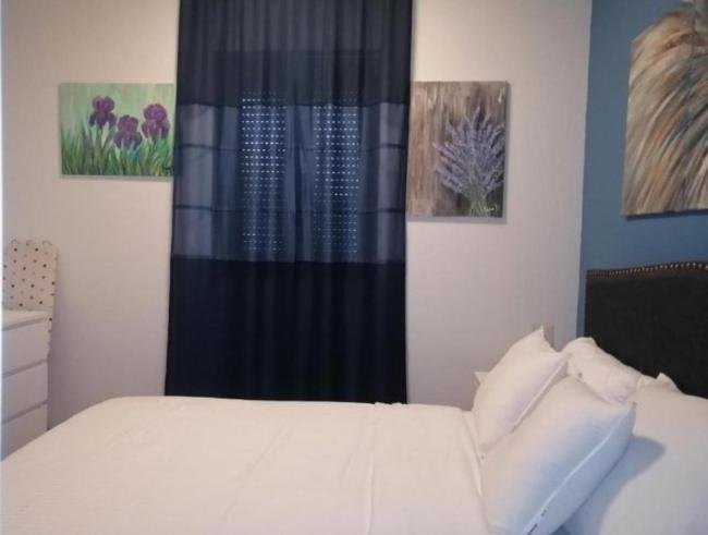 Apartman Sara Images_3