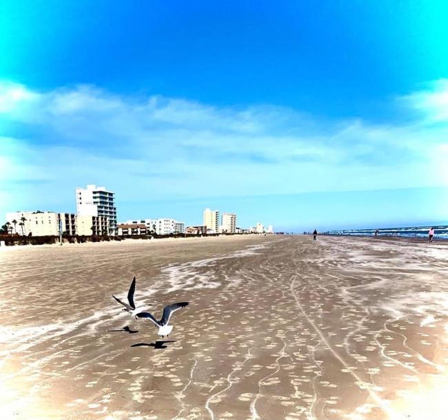 Palm Paradise/ Across from beach/Private heated pool/indoor slide Images_3