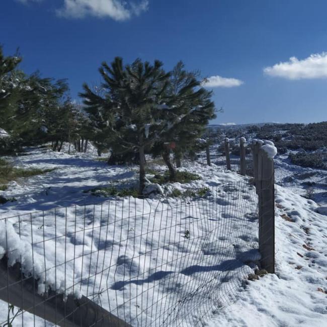 Agios Ioannis Stone Cottage with Private Heated Pool & Hydro-massage Images_4