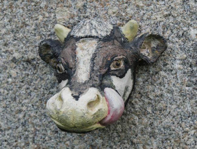 De Koeienstal Images_2