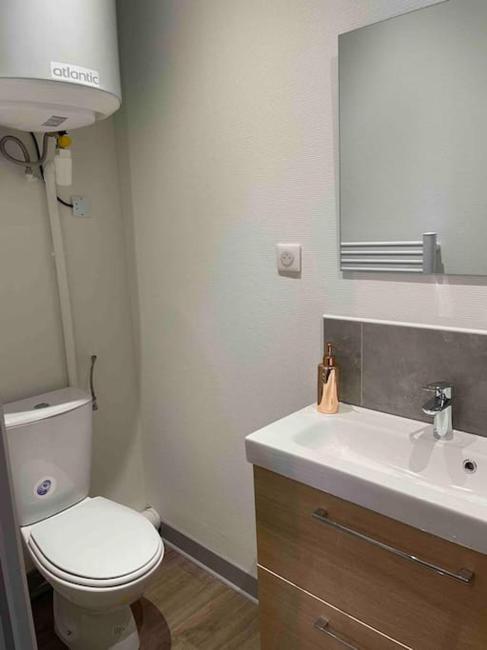 T2 4 pers face gare SNCF Appart Hotel le Cygne 2 Images_1