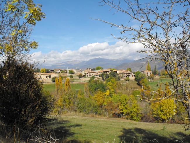 Cal Trisca Images_4