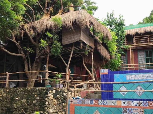Tree House by the Ocean ( for 2 guests) Images_3
