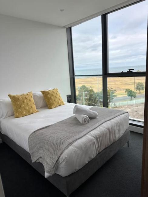 Modern 2 BRM Apt in Williamstown Images_3