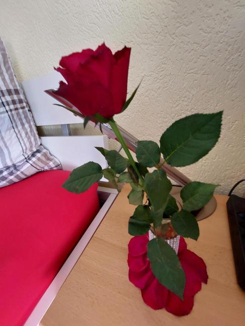 Joli studio avec terrasse et vue EXCLUSIVEMENT POUR NON FUMEURS Images_4