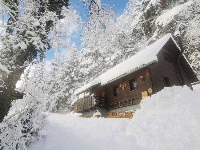 Waldhütte Glück Auf Images_4