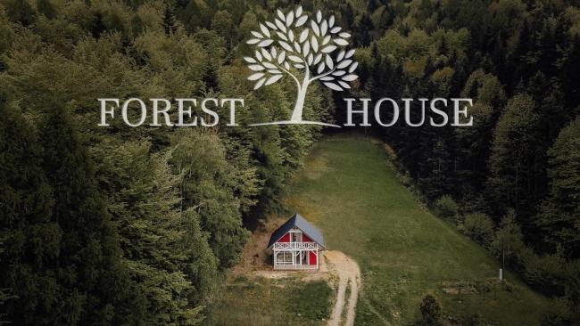 Forest house Images_5