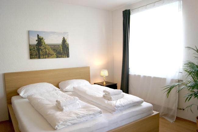 Mitten in der Weinregion Koblenz Images_1