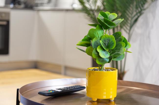 At the level - (2 bed flat) Images_5