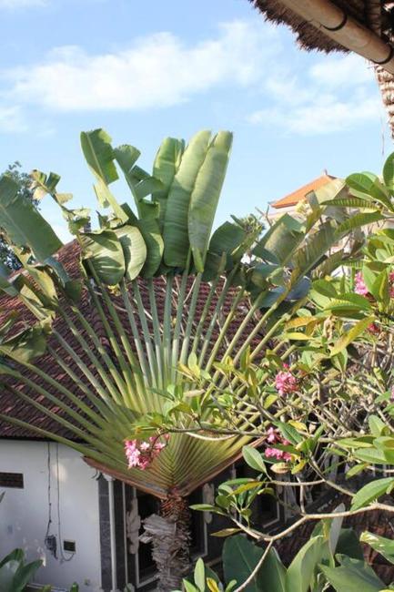 2 bedroom House with huge private Pool Images_4