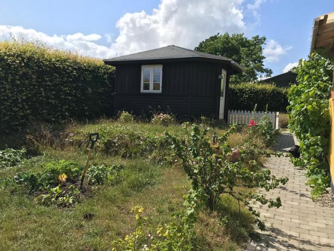 Solfryd i Ollerup Images_1