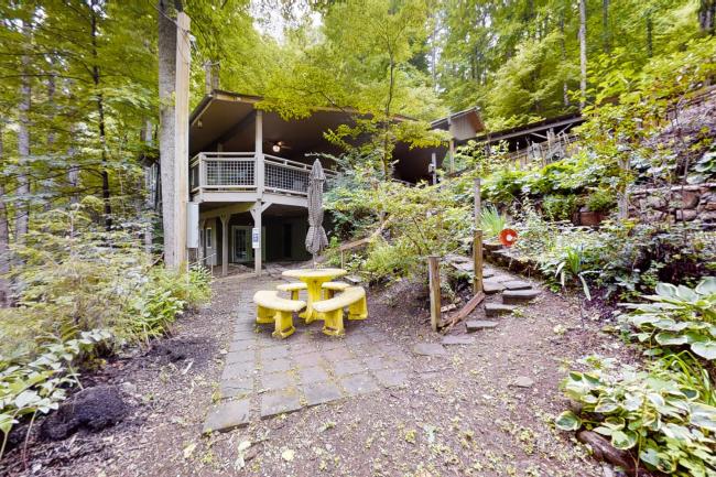 Tree House Images_1