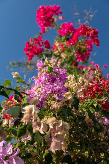 Casa Minerva Images_5