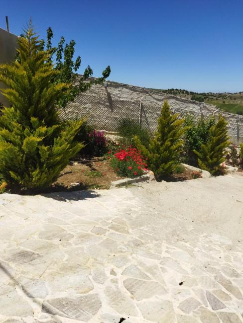 Forar farm and chalet - مزرعة ومنتجع الفرات Images_4
