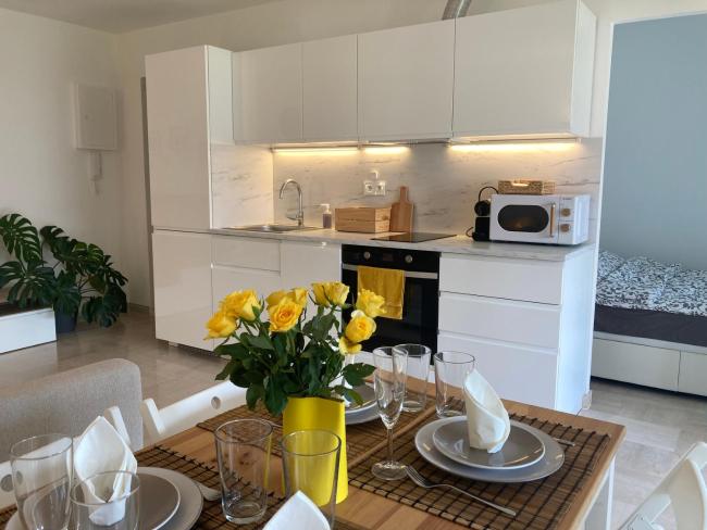 Antibes Juan-les-Pins Cozy one bedroom apartment near the beaches and the restaurants Images_1