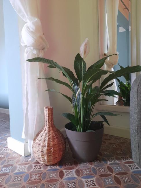 Boho Rooms Sliema Images_3