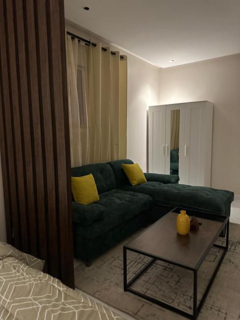 استديو مودرن فاخر - دخول ذاتي Images_3