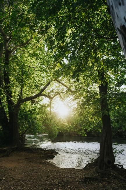 בין הפרדס לנחל Images_1