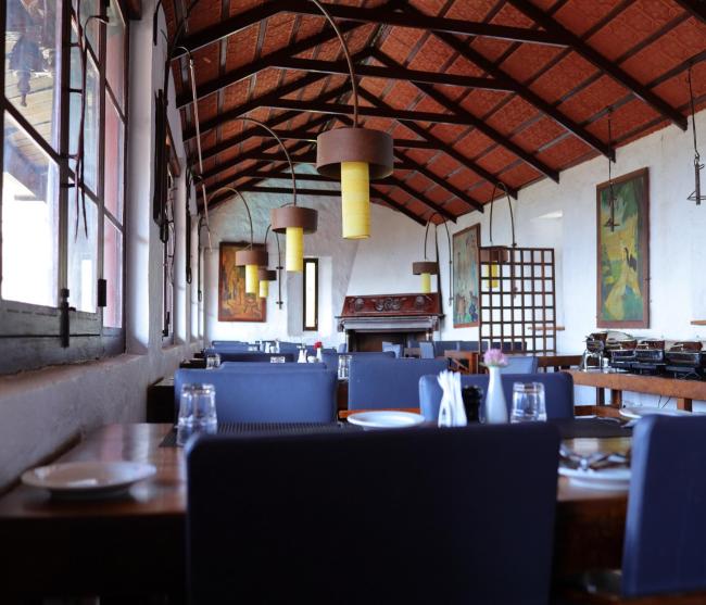 Mango Hill Yercaud Images_4