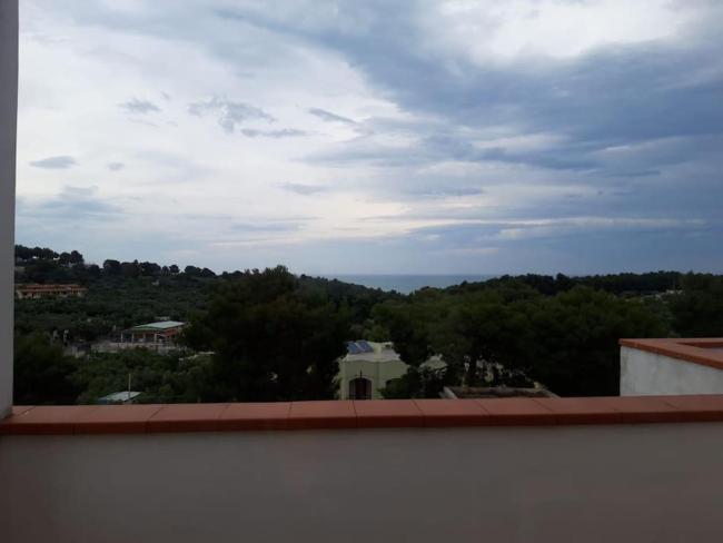 Melograno 2 Images_5