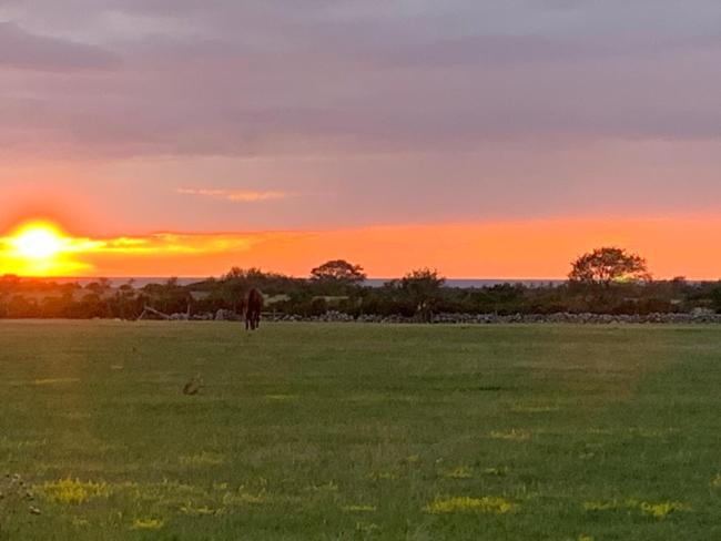 Sodra Gotland 14 bed med pool Images_4