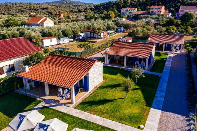 Dalmatian Pearls Images_3