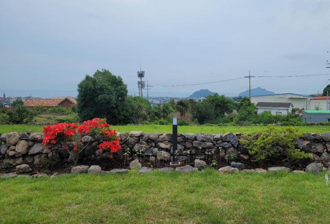 The Olle Pension Images_2