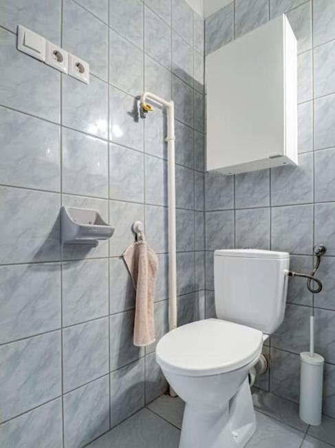 Shiny Buda Studio Images_3