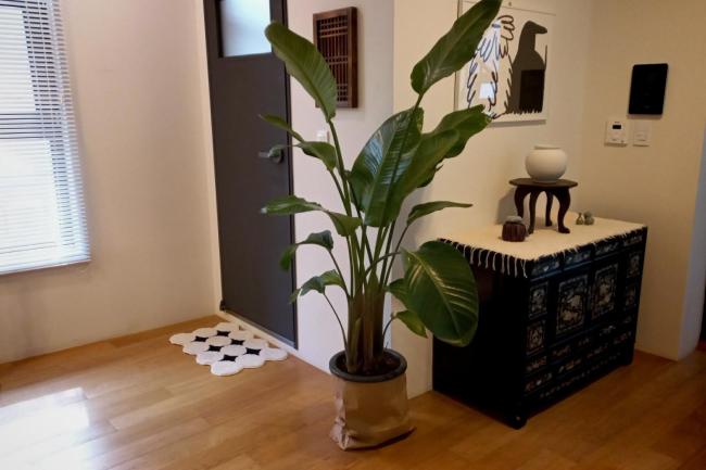 Korean Traditional terrace House Images_1