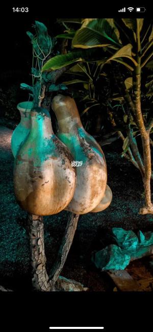 استراحة الرياحين Images_5