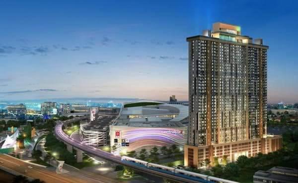 Alice In The Plum Westgate Room Images_2