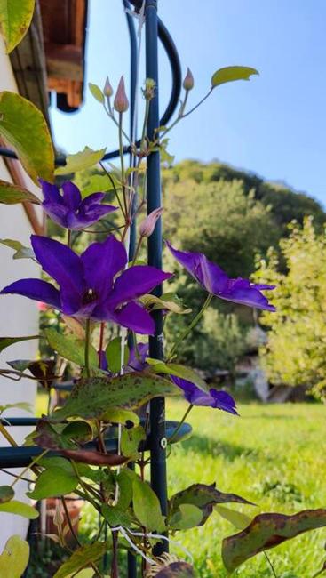 Nature Hideaway Images_4