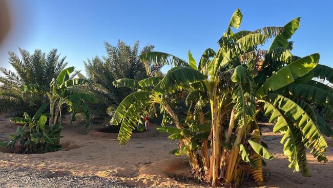 استكنان The Quite Images_3