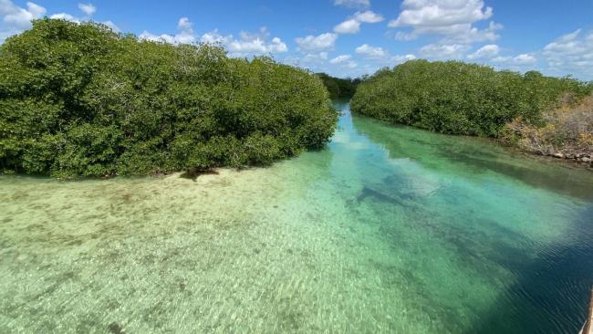 Cuzan Guest House Sian Kaan Punta Allen Images_4