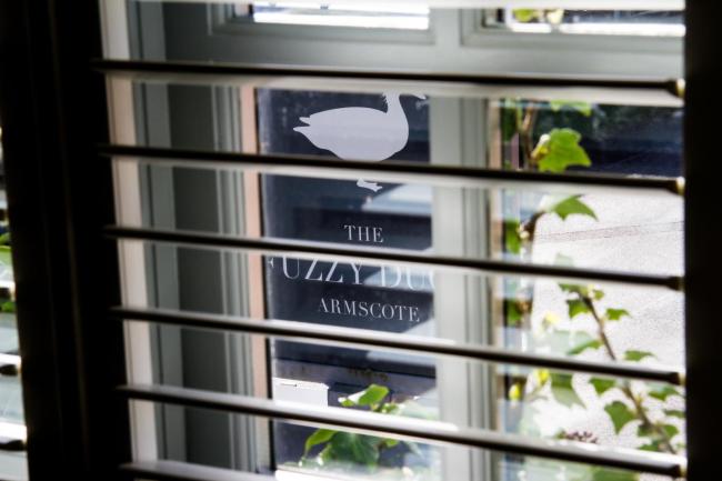 The Fuzzy Duck Images_3